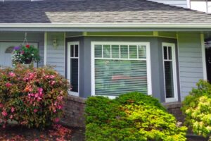 bow windows styles tampa florida